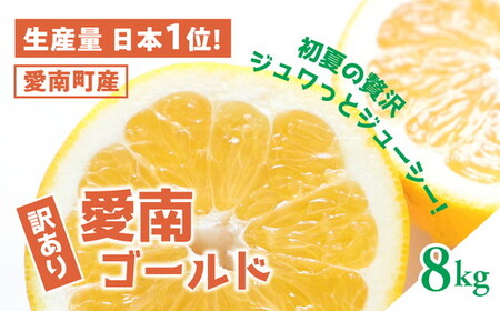 [訳あり]愛南ゴールド(河内晩柑)8kg 