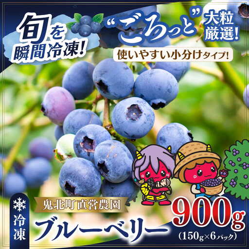 【先行予約】【選別済み大粒】冷凍ブルーベリー900g（150g×6P） | 選別済み 大粒 国産 個包装 小分け 冷凍 鬼北町直営農園 果実 フルーツ 果物 くだもの 朝食 ヨーグルト　鬼北町役場 日吉支所 愛媛県 ※2026年8月～発送