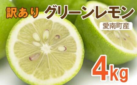 訳あり レモン ( グリーンレモン ) 4kg 檸檬 フルーツ 果物 くだもの 防腐剤 不使用 レモンサワー レモン果汁 国産 ビタミン クエン酸 疲労 回復 ストレス 解消 免疫力 向上 国産 訳あり 産直 皮ごと 丸ごと ひなたのみかん 愛媛県 愛南町 発送期間:2024年10月10日~2024年12月下旬