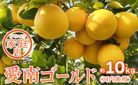 家庭用 先行予約 2026年発送 愛南ゴールド(河内晩柑)約10kg みかん 蜜柑 河内晩柑 グレープフルーツ 柑橘 果物 フルーツ 前田ファーム 愛媛 愛南[発送期間 3月下旬〜5月上旬 ](なくなり次第終了)