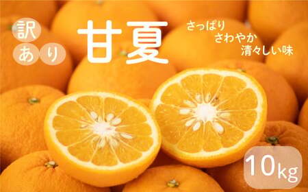 先行予約 訳あり 減農薬 甘夏 10kg みかん 甘夏 愛南フルーツ サイズミックス サイズ混合 みかん 甘夏 あまなつ 不揃い 柑橘 蜜柑 みかん あまなつ 甘夏 産地 産直 みかん 甘夏