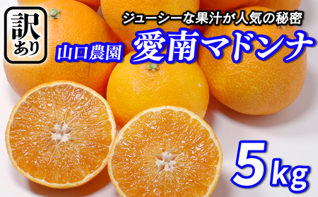 �y�g�܂ǂ�ȂƓ��i��z�y�󂠂�z����܂ǂ��5kg �R���_��