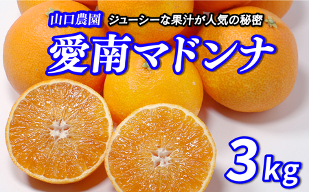 [紅まどんなと同品種][正品] 愛南まどんな 3kg 山口農園