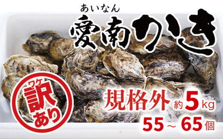 先行予約 訳あり 規格外 殻付き 愛南かき 5kg （55～65個） 16000円 わけあり 牡蠣 むき身 殻付 かき カキ オイスター 鍋 カキフライ ミルク ソテー クリームシチュー グラタン 牡蠣鍋 蒸し 酒蒸し オイル漬 塩辛 冷蔵 国産 産地直送 期間限定 数量限定 特産品 海鮮 魚介 養殖 人気 限定 愛南町 愛媛県