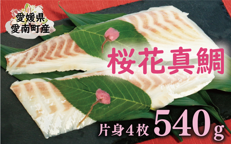 桜花 真鯛 切り身 4柵 合計 540g ( 270g ×2 パック ) 朝〆 まだい 鯛 愛南町 新鮮 冷凍 愛媛県 神経締め 皮引き 三枚おろし 国産 魚介 特産品 魚介類 海産物 鮮魚 養殖 産地直送 海鮮 ブランド 刺身 海鮮丼 塩焼き 煮付け 酒蒸し カルパッチョ 鯛飯 しゃぶ 鯛めし 鯛茶漬け 漬け お正月 お祝い 年末 年始 紅白 めでたい 真空 パック 柵 愛南サン・フィッシュ マダイ マダイ 