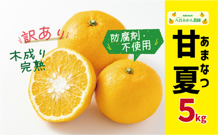 [ 先行予約 ] 訳あり 完熟 甘夏 5kg 発送期間:3月上旬〜無くなり次第終了 八百みかん農園 の 完熟 甘夏 7000円 家庭用 訳あり 先行 事前 予約 受付 みかん あまなつ 夏みかん グレープフルーツ マーマレード ゼリー 防腐剤不使用 愛媛 産地直送 国産 農家直送 糖度 果樹園 期間限定 数量限定 特産品 ジュース 人気 限定 愛南 さわやか 甘い フルーツ 果物 柑橘 蜜柑