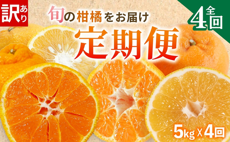 [定期便4回] 訳あり 季節の柑橘4種 各5kg 合計 20kg ポンカン 不知火 甘夏 河内晩柑 柑橘 みかん 果物 フルーツ ゼリー アイス ジュース 定期便 フルーツ 和製 グレープフルーツ 夏文旦 ぽんかん 旬の果物 旬 愛南町 愛媛県 愛南