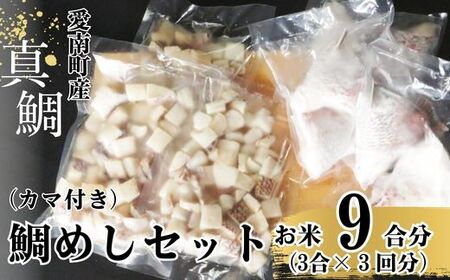 鯛めしセット (180g×3パック) カマ付き まだい 鯛 冷凍 ダイスカット サイコロ コロコロ 角切り 鯛めし 釜めし 炊き込みご飯 10000円 おかず 惣菜 つまみ 入れるだけ 国産 魚介 特産品 魚介類 海産物 鮮魚 養殖 産地直送 海鮮 ブランド 簡単 お正月 お祝い 年末 年始 クリスマス パーティ お食い初め パック 愛南町 愛媛県 愛南サン・フィッシュ マダイ タイ マダイ タイ 