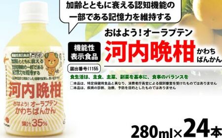 おはよう!オーラプテン河内晩柑 280ml×24本 伊方サービス 24000円 280ml 河内晩柑 愛南ゴールド 美生柑 みかん 機能性表示食品 オーラプテン 柑橘 飲料 中高年 記憶 衰え 認知 認知機能 思い 思い出す 日常生活 加齢 維持 維持する ジュース 健康 美容 クエン酸 はちみつ グレープフルーツ さわやか フルーツ 伊方町 愛媛県 愛南町 伊方サービス株式会社