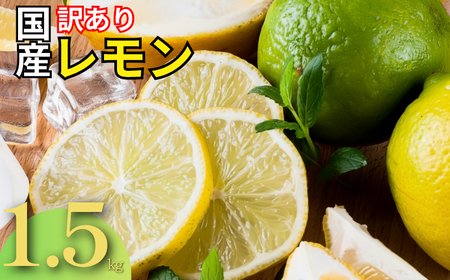 [レモン]訳あり レモン 1.5kg