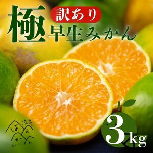 [訳あり]愛媛みかん ( 極早生 ) 3kg[発送時期:9月下旬〜11月下旬]2S-Lサイズ サイズミックス 愛媛みかん 温州みかん 一番みかん 柑橘 みかん 少量 お試し 試供品 5000円 愛媛県 愛南町 清家ばんかんビレッジ