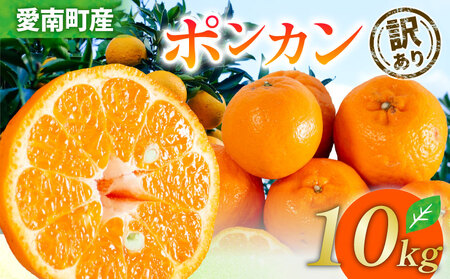 yY|Jz󂠂|J 10kg
