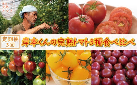 定期便 3回 岸本くんの 完熟 トマト 26000円 とまと ミニトマト 大玉 イエローアイコ パック トマトジュース トマトケチャップ トマトソース 4kg 野菜 国産 産地直送 農家直送 期間限定 数量限定 特産品 人気 ブランド アイコ 高糖度 ハウス栽培 お取り寄せ 料理 に 冷凍 保存 もおすすめ 岸本 真一 愛南町 愛媛県
