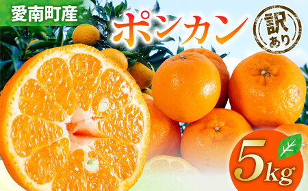 yY|Jz󂠂|J 5kg