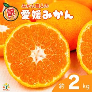 訳あり 愛媛みかん 約2kg [発送期間:9月中旬から1月中旬] 柑橘 果物 国産 フルーツ 蜜柑 ミックス 不揃い 傷 温州 ビタミン 美味しい みかん職人武田屋 愛媛県 愛南町