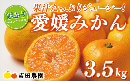 先行予約 訳あり 愛媛みかん 3.5kg 7000円 愛媛 みかん 温州みかん こたつ みかん mikan 蜜柑 ミカン 家庭用 産地直送 国産 農家直送 糖度 期間限定 数量限定 特産品 ゼリー ジュース アイス 人気 限定 甘い フルーツ 果物 柑橘 先行 事前 予約 受付 ビタミン 美味しい おいしい サイズ ミックス 愛南町 愛媛県 吉田農園[yoshidanoen13]