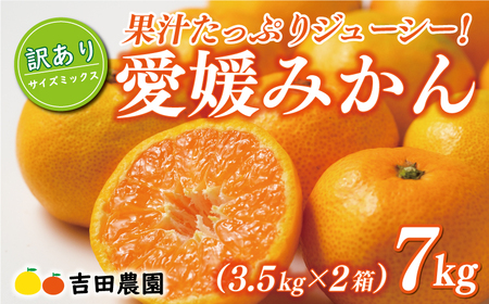 先行予約 訳あり 愛媛みかん 合計 7kg ( 3.5kg × 2箱 ) 14000円 愛媛 みかん 温州みかん こたつ みかん mikan 蜜柑 ミカン 家庭用 産地直送 国産 農家直送 糖度 期間限定 数量限定 特産品 ゼリー ジュース アイス 人気 限定 甘い フルーツ 果物 柑橘 先行 事前 予約 受付 ビタミン 美味しい おいしい サイズ ミックス 愛南町 愛媛県 吉田農園[yoshidanoen14]