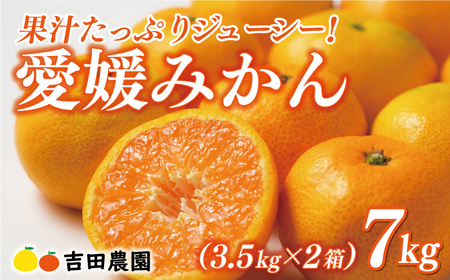 先行予約 愛媛みかん 合計 7kg ( 3.5kg × 2箱 ) 16000円 愛媛 みかん 温州みかん こたつ みかん mikan 蜜柑 ミカン 家庭用 贈答用 ギフト プレゼント お歳暮 産地直送 国産 農家直送 糖度 期間限定 数量限定 特産品 ゼリー ジュース アイス 人気 限定 甘い フルーツ 果物 柑橘 先行 事前 予約 受付 ビタミン 美味しい おいしい 愛南町 愛媛県 吉田農園[yoshidanoen16]