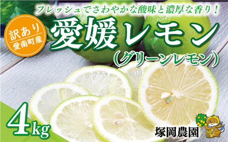 数量限定 訳あり 愛媛 レモン ( グリーンレモン ) 4kg 8000円 柑橘 サイズ 不揃い 家庭用 檸檬 国産 フルーツ 果物 果実 産地直送 農家直送 期間限定 特産品 瀬戸内 ワックス 防腐剤 不使用 果汁 人気 新鮮 レモネード 塩レモン レモン酢 ソース はちみつレモン レモンケーキ レモンスカッシュ レモンサワー 酎ハイ ビタミン 規格外 愛南町 愛媛県 塚岡農園[tsukaoka05]