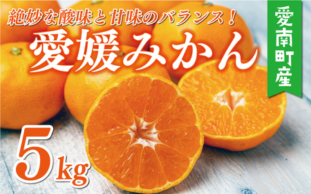 訳あり 愛媛みかん 5kg 7000円 愛媛 みかん 温州みかん 早生 みかん こたつ 温州ミカン 温州 mikan 蜜柑 ミカン 家庭用 贈答用 ギフト プレゼント お歳暮 産地直送 国産 農家直送 糖度 期間限定 数量限定 特産品 ゼリー ジュース アイス 人気 限定 甘い フルーツ 果物 柑橘 ビタミン 美味しい おいしい サイズ ミックス 愛南町 愛媛県 マルハラファーム[maruhara19]