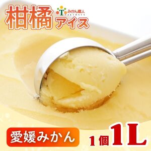 柑橘アイス 1L (1個L)[ 愛媛みかん ] 少量 お試し 旬 農家直送 特産品 さっぱり 大人 旨味 アイス ジェラート シャーベット ソルベ アイスクリーム ランキング 人気 業務量 業務用 訳あり ワケアリ 家庭用 みかん 柑橘 かんきつ まどんな 愛果28号 愛南ゴールド 不知火 デコポン ぽんかん 冷凍 冷凍みかん 冬 夏 みかん職人武田屋 愛媛県 愛南町