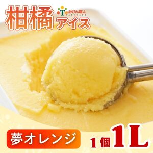 柑橘アイス 1L (1個1L)[ 夢オレンジ ] 少量 お試し 旬 特産品 アイス ジェラート シャーベット アイスクリーム みかん 柑橘 かんきつ まどんな 愛果28号 愛南ゴールド 不知火みかん職人武田屋 愛媛県 愛南町