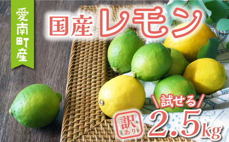 訳あり レモン 2.5kg 5000円 柑橘 サイズ 不揃い 家庭用 檸檬 国産 れもん フルーツ 果物 果実 産地直送 農家直送 数量限定 期間限定 特産品 瀬戸内 ワックス 防腐剤 不使用 果汁 人気 新鮮 少量 お試し レモネード 塩レモン レモン酢 レモンソース はちみつレモン レモンケーキ レモンスカッシュ レモンサワー 酎ハイ ビタミン 規格外 あいなんマザーズ 愛南町 愛媛県