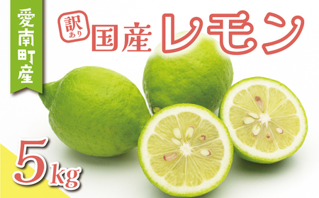 訳あり レモン 5kg 7000円 柑橘 サイズ 不揃い 家庭用 檸檬 国産 フルーツ 果物 果実 産地直送 農家直送 数量限定 期間限定 特産品 瀬戸内 ワックス 防腐剤 不使用 有機栽培 果汁 人気 新鮮 レモネード 塩レモン レモン酢 レモンソース はちみつレモン レモンケーキ レモンスカッシュ レモンサワー 酎ハイ ビタミン くらもとファーム 愛南町 愛媛県