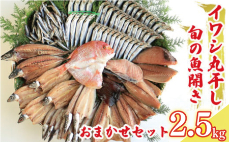 訳あり 魚の 丸干し & 開き おまかせ セット 2.5kg 10000円 魚 海鮮 干物 無添加 ひもの ひらき 詰め合わせ 冷凍 丸干し 鯵 アジ 鯖 さば サバ 鰹 かつお カツオ 鯛 たい タイ 鰯 いわし イワシ 切り身 おつまみ おかず 惣菜 人気 珍味 グルメ 規格外 国産 新鮮 魚介 天然 乾き物 乾物 酒のあて 旬 季節 お中元 お歳暮 母の日 父の日 武久海産 愛南町 愛媛県