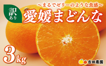 訳あり 愛媛 まどんな 3kg みかん 家庭用 サイズミックス 12000円 愛果28号 紅まどんな 同品種 あいか アイカ 高級 人気 ブランド 柑橘 果物 フルーツ 数量限定 期間限定 産地直送 国産 農家直送 わけあり 特産品 お取り寄せ mikan 蜜柑 ミカン マドンナ スマイルカット 甘い おいしい ゼリー ぷるぷる 吉田農園 愛南町 愛媛県