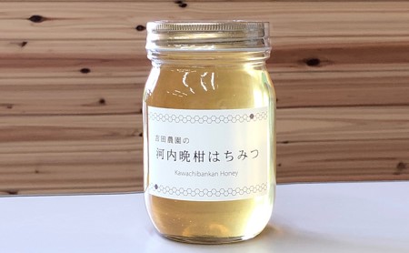 河内晩柑 はちみつ 蜂蜜 500g 国産 純粋 蜂蜜 はちみつ 河内晩柑 ギフト 1kg 以下 晩柑 蜂蜜 はちみつ 河内晩柑 柑橘 蜂蜜 はちみつ みかん 瓶詰め おいしい 吉田農園 蜂蜜 はちみつ 河内晩柑 愛媛県 愛南町 [発送時期:2024年6月〜]