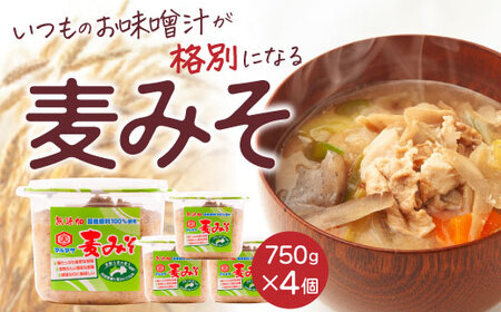 無添加生麦みそ 3kg 750g ×4パック 味噌 みそ 麦みそ 無添加 生 味噌汁 みそ汁 大豆 麦 スープ 調味料 減塩 甘口 糀 こうじ 田舎 国産 愛媛県 愛南町 マルマサ醤油