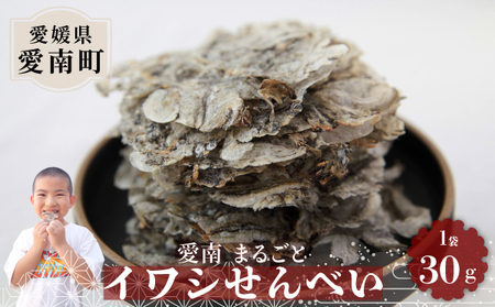 愛南まるごとイワシせんべい 1袋 30g 伊予乃国 いわし せんべい おつまみ おやつ 海鮮 お酒 父の日 母の日 こどもの日 敬老の日 プレゼント カルシウム 鰯 煎餅 魚 煮干し 5000円 試供品 お試し 少量 愛媛県 愛南町