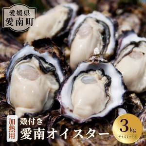 愛南 オイスター 3kg 24000円 先行予約 牡蠣 加熱用 殻付き 三倍体 真牡蠣 ブランド 特産品 お取り寄せ グルメ 大粒 濃厚 クリーミー おいしい 新鮮 ご褒美 かき パスタ アヒージョ まがき 夏 産地 直送 愛南漁業協同組合 御荘支所 愛媛県 愛南町