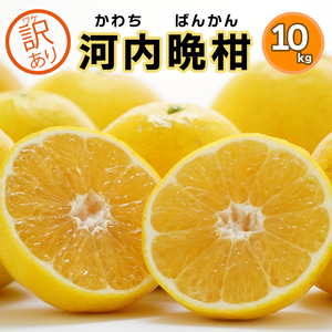 訳あり みかん職人の河内晩柑 10kg (なくなり次第終了) 河内晩柑 果物 柑橘 みかん 愛南ゴールド 蜜柑 グレープフルーツ ゼリー ジュース アイス 果物 フルーツ 健康 美容 ビタミン クエン酸 訳あり サイズミックス 規格外 送料無料 10kg 15000円 武田屋