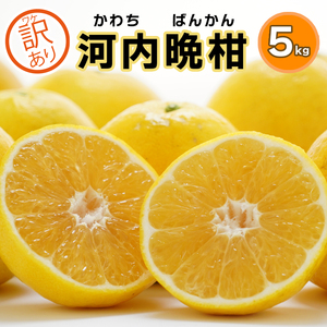 訳あり みかん職人の河内晩柑 5kg (なくなり次第終了) 河内晩柑 果物 柑橘 みかん 愛南ゴールド 蜜柑 グレープフルーツ ゼリー ジュース アイス 果物 フルーツ 健康 美容 ビタミン クエン酸 訳あり サイズミックス 規格外 送料無料 5kg 8000円 武田屋