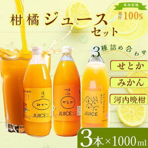 柑橘ジュース セット 3本×1000ml 100% せとか 温州 みかん 河内晩柑 ストレートジュース 清家ばんかんビレッジ
