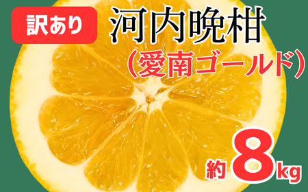 訳あり FN-SupportProject 増量 年末企画 愛南ゴールド ( 河内晩柑 ) 8kg 9000円 かわちばんかん ミカン わけあり 家庭用 愛媛県 愛南町 愛なんよ