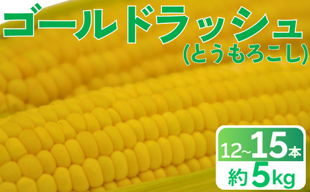 とうもろこし 甘い スイートコーン ゴールドラッシュ 約 5kg 12000円 12 本 〜 15 本 L 〜 2L サイズ トウモロコシ コーン 冷蔵 クール便 産地直送 国産 農家直送 期間限定 数量限定 冷蔵 人気 贈答 プレゼント ギフト 土産 お取り寄せ ギフト お中元 愛媛県 愛南町 愛なんよ