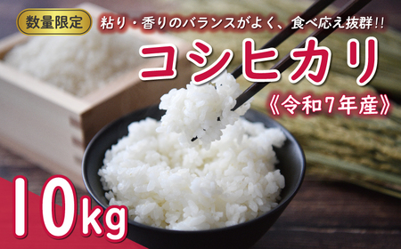 先行予約 新米 令和7年産 コシヒカリ 10kg 24000円 お米 白米 精米 米 こめ 産地直送 国産 農家直送 期間限定 数量限定 特産品 先行 事前 受付 令和7年度産 2025年 もっちり 粘り 甘み おいしい おにぎり こしひかり 内祝い お祝い 贈答品 お返し プレゼント ギフト 土産 御礼 お礼 お取り寄せ 田中均 愛南町 愛媛県