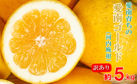 訳あり 愛南ゴールド(河内晩柑) 5kg 柑橘 みかん 傷 不揃い 規格外 常温 愛南町 青果市場 愛媛県