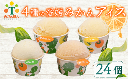 柑橘アイス 4種 夢オレンジ 河内晩柑 愛媛みかん 不知火 カップアイス 24個 各65ml みかん アイス 柑橘アイス 夢オレンジアイス 愛媛みかんアイス 河内晩柑アイス 不知火アイス 美味しいシャーベット 愛媛県 愛南町 みかん職人 武田屋
