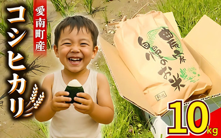 [ 令和7年産 ] 新米 コシヒカリ 10kg 新米新米