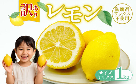 訳ありレモン 1kg ワックス 防腐剤不使用 サイズミックス カラーミックス グリーンレモン イエローレモン 柑橘 傷 不揃い レモン 檸檬 れもん サイズミックス 規格外 常温 愛南町 青果市場 愛媛県