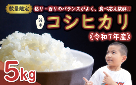 先行予約 新米 令和7年産 コシヒカリ 5kg 13000円 お米 白米 精米 米 こめ 産地直送 国産 農家直送 期間限定 数量限定 特産品 先行 事前 受付 令和7年度産 2025年 もっちり 粘り 甘み おいしい おにぎり こしひかり 内祝い お祝い 贈答品 お返し プレゼント ギフト 土産 御礼 お礼 お取り寄せ えひめ南農業協同組合 愛南町 愛媛県