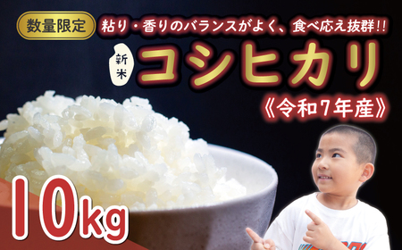 先行予約 新米 令和7年産 コシヒカリ 10kg 25000円 お米 白米 精米 米 こめ 産地直送 国産 農家直送 期間限定 数量限定 特産品 先行 事前 受付 令和7年度産 2025年 もっちり 粘り 甘み おいしい おにぎり こしひかり 内祝い お祝い 贈答品 お返し プレゼント ギフト 土産 御礼 お礼 お取り寄せ えひめ南農業協同組合 愛南町 愛媛県