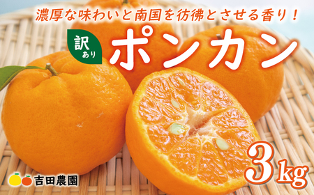 お試し用 訳あり ポンカン 3kg 7000円 みかん mikan 蜜柑 ミカン わけあり ぽんかん 産地直送 国産 農家直送 糖度 期間限定 数量限定 特産品 ゼリー ジュース アイス 冷凍 みかん 等に 人気 限定 甘い フルーツ 果物 柑橘 ビタミン 健康 美味しい おいしい ジューシー 小玉 含む 規格外 サイズ ミックス お試し 試供品 品 少量 吉田農園 愛南町 愛媛県