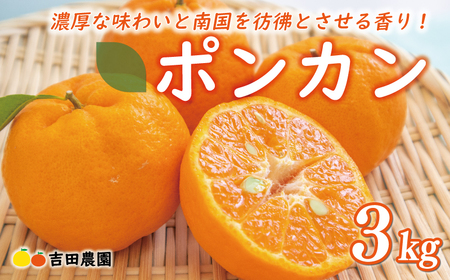 お試し用 ポンカン 3kg 9000円 みかん mikan 蜜柑 ミカン ぽんかん 産地直送 国産 農家直送 糖度 期間限定 数量限定 特産品 ゼリー ジュース アイス 冷凍 みかん 等に 人気 限定 甘い フルーツ 果物 柑橘 ビタミン 健康 美味しい おいしい ジューシー 小玉 含む お試し 試供品 品 少量 吉田農園 愛南町 愛媛県