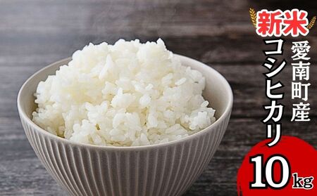 新米 令和7年産コシヒカリ 10kg 新米新米新米新米新米