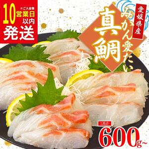 [10日以内発送]みかん 真鯛 マダイ 600g 以上 12000円 小分けパック 鯛 たい 冷凍 骨なし 皮なし 柵 刺身 人気 魚介 海鮮 新鮮 鮮魚 養殖 国産 真空 ギフト プレゼント 父の日 母の日 敬老の日 お中元 お歳暮 お食い初め ふるさと納税 南予ビージョイ みかん愛たい スキンレスロイン 愛南町 愛媛県